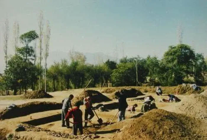 Một đội khảo cổ chung nhanh chóng được thành lập và đến địa điểm để khai quật.