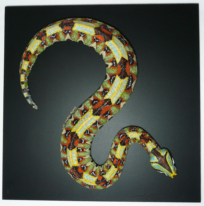 Hoa văn sặc sỡ đẹp mắt của rắn viper.