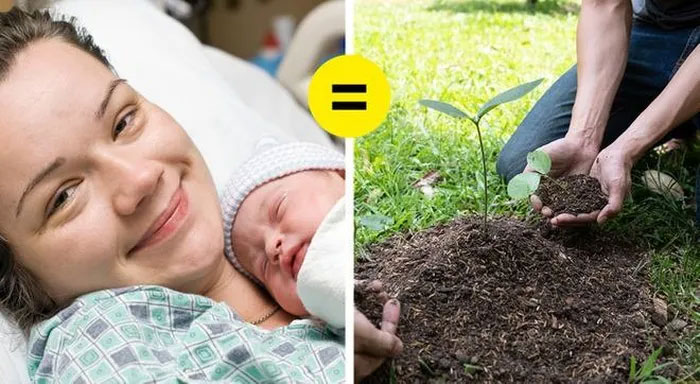 Trồng thêm 2 cây xanh cho mỗi em bé được sinh ra tại xứ Wales, vương quốc Anh