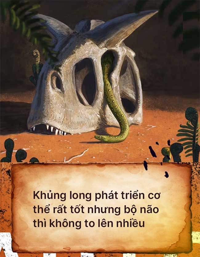 Khủng long phát triển cơ thể rất tốt nhưng bộ não thì không to lên nhiều. 