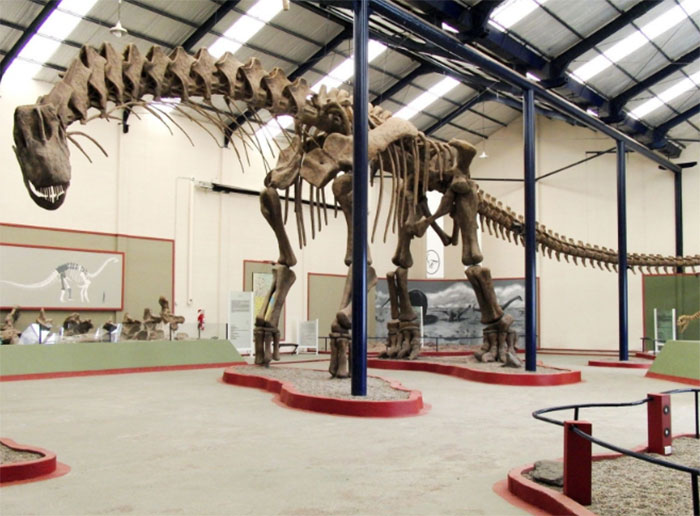 Mô phỏng loài Argentinosaurus tại Bảo tàng Thành phố Carmen Funes, Argentina